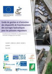 Icon of Guide de gestion et d'entretien des dispositifs de franchissement des ouvrages hydrauliques pour les poissons migrateurs